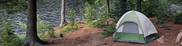 A green tent sits on a campsite in Algonquin Park